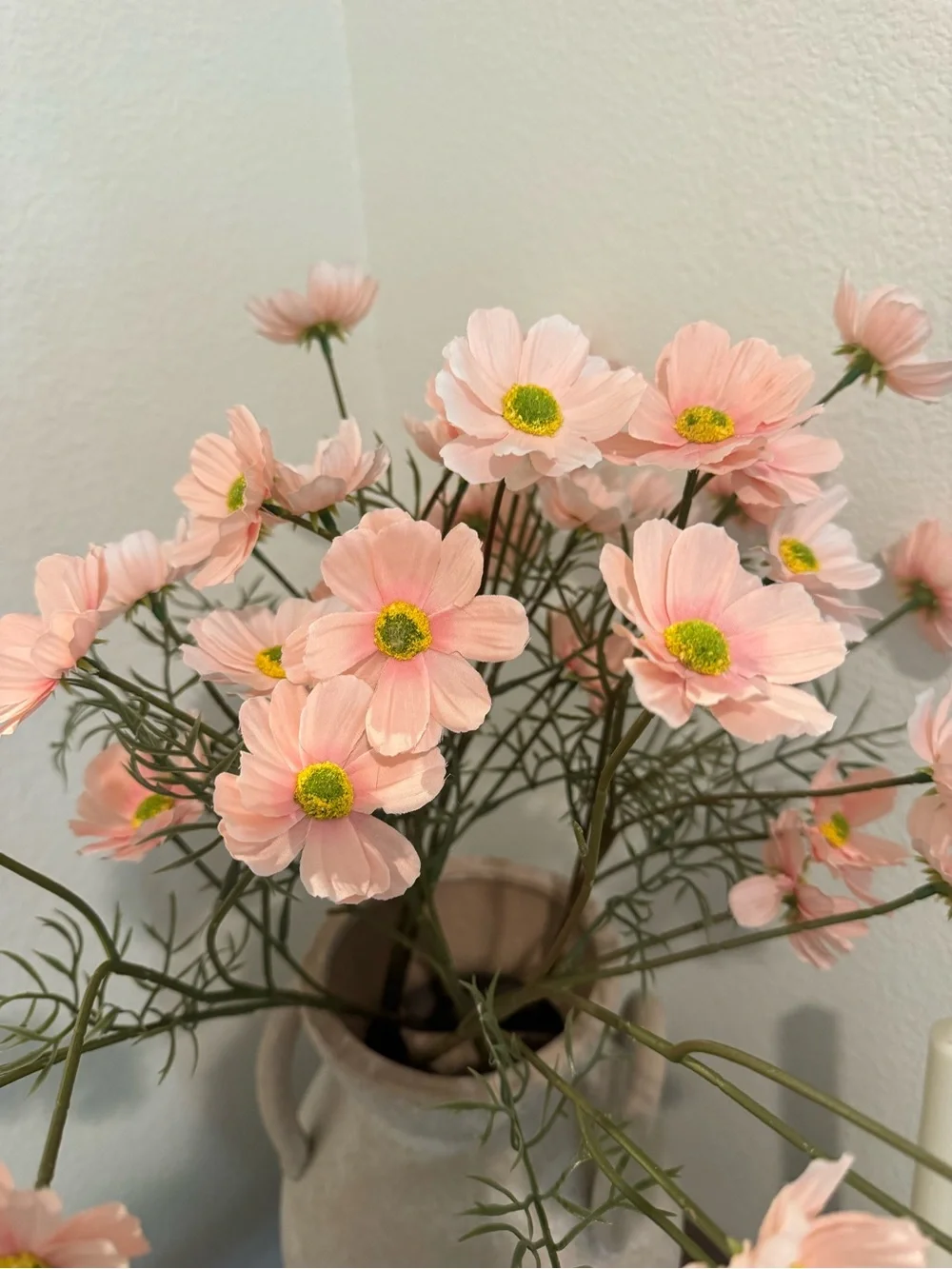 Pink Cosmos Stems